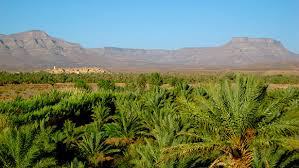 532El Valle del Draa, Marruecos