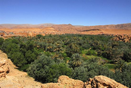 oasis en Marruecos