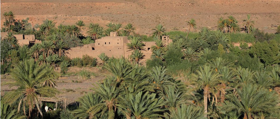 oasis en Marruecos