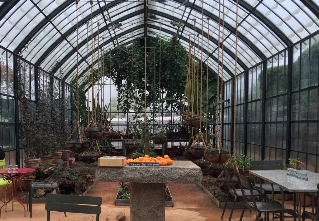 greenhouse Babylonstoren