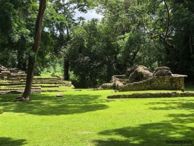6509Yaxchilán y Bonampak en la selva Lacandona. Chiapas, Méjico
