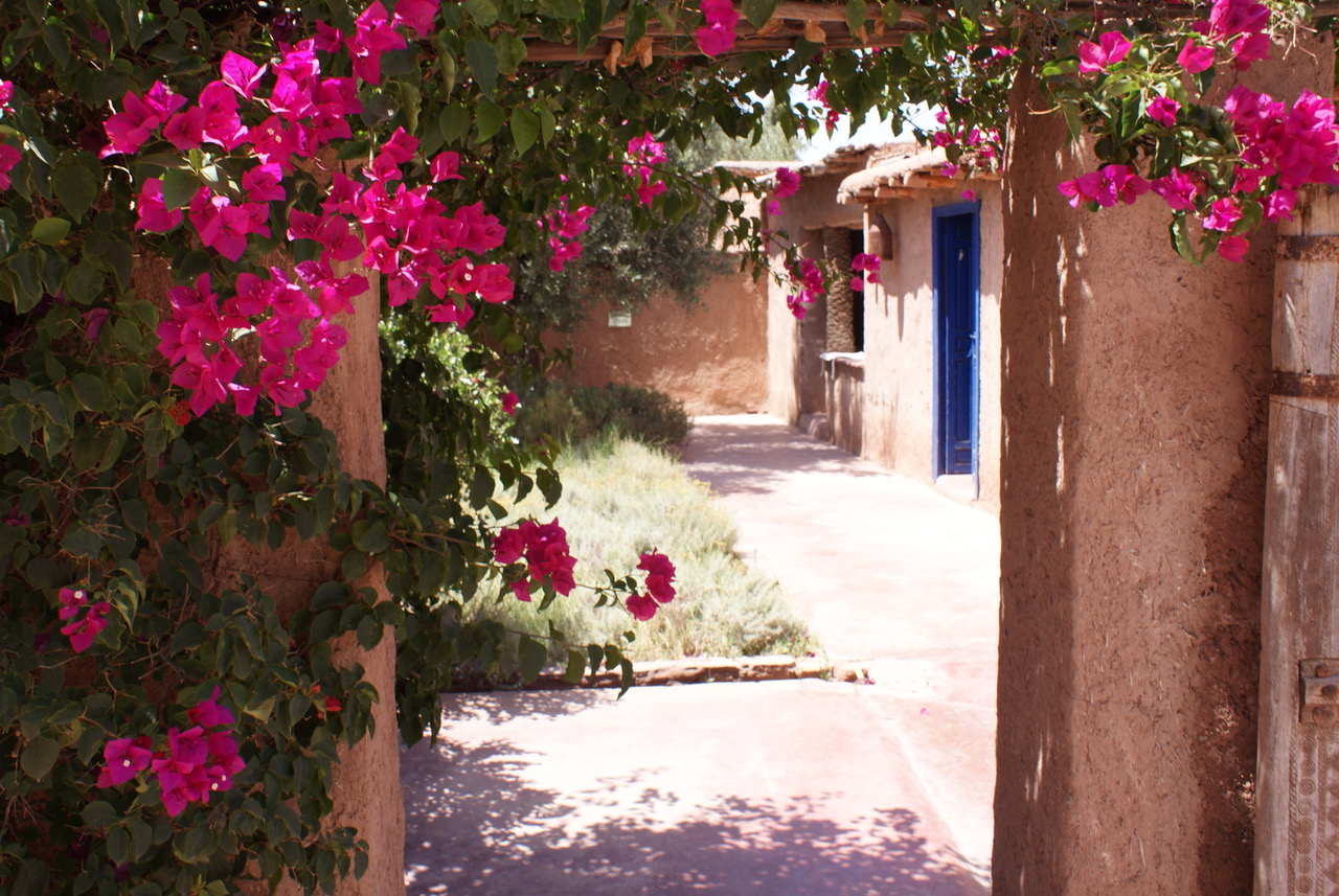Beldi Country Club, un lugar entre olivos para refugiarse del calor de Marrakech