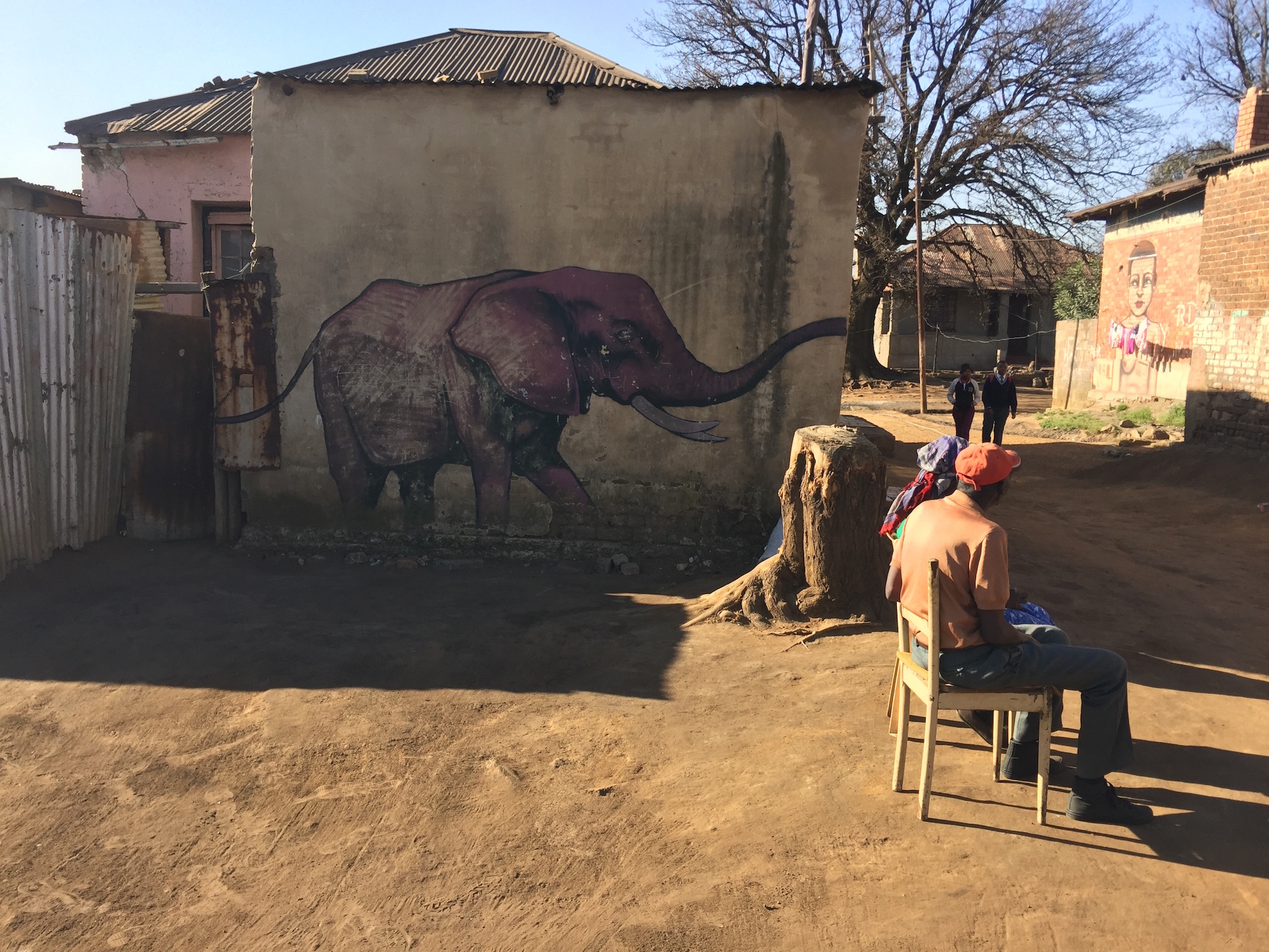 4090elefantes en Kruger