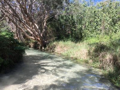 1890Museo del Oro. Bogotá, Colombia