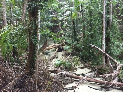 6126Byron Bay