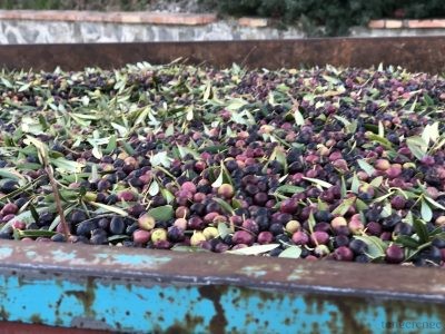 1404Museo de Pérgamo, pura historia viva, se reconstruye hasta el 2019. Berlín