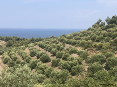 6377Kassandra y Sithonia. Halkidiki, Grecia