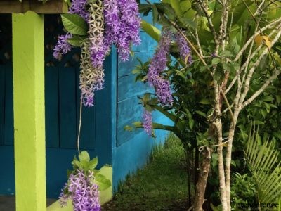 6426Mérida. Yucatán, Méjico