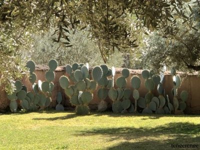 6721Berber Lodge, un retiro a las afueras de Marrakesch